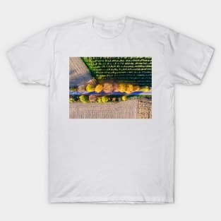 Aerial view of country road, autumn trees and ploughed field T-Shirt